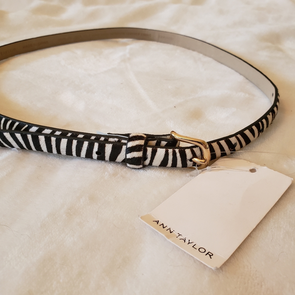 Ann Taylor Belt Zebra Print XS